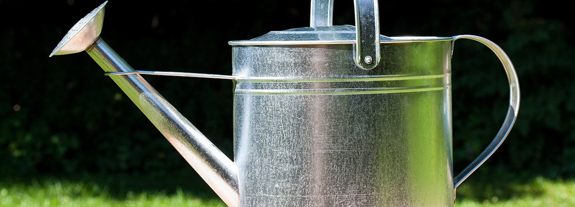 Modern metal watering sprinkler can