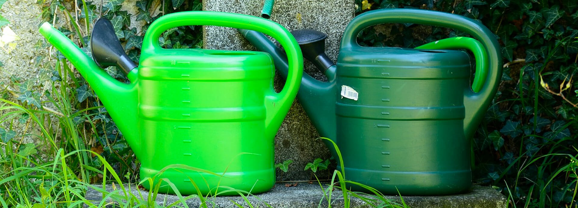 Plastic watering cans